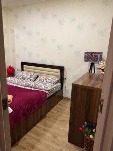 ბინა ნაძალადევი 1 საძინებელი #1