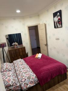 ბინა ნაძალადევი 1 საძინებელი #1