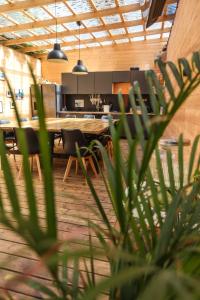 Klimatyzowane Surf Domki - Maszoperia Sun4Hel - Letnia Baza SnowShow na Półwyspie Helskim