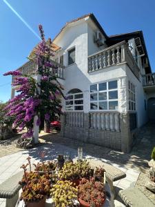 Studios Kranjcec - 3hvězdičkové hotely ve městě Preko