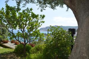 Ca da Muntà bed and breakfast