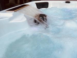 Lodges Le Temps d-une Nuit : photos des chambres