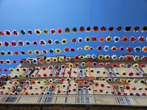 Appartements LA MAISON VALENTIN AU COEUR DE LA CITE MEDIEVALE : photos des chambres