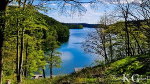 Ferienhaus Vogelsang in Feldberg