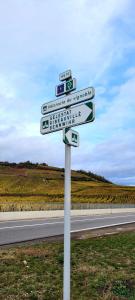 Appartements 3 Stars Domaine des Vignes - Kaysersberg Vignoble : photos des chambres