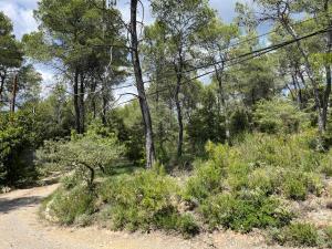 Maisons de vacances Maison de la Fare- plongez en pleine nature : photos des chambres