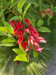 Villas Villa Salamba le charme avec piscine : photos des chambres