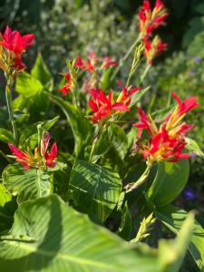 Villas Villa Salamba le charme avec piscine : Villa 3 Chambres