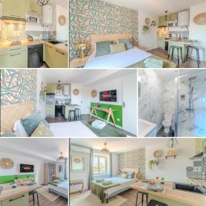 Appartements Hortensia Roanne centre-ville - Parking & Clim : Appartement 1 Chambre