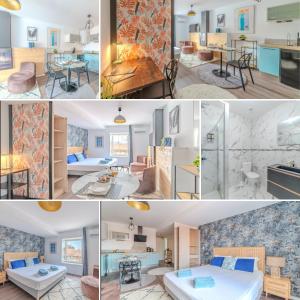 Appartements Bleuet Roanne centre-ville -Parking & Clim : Appartement 1 Chambre