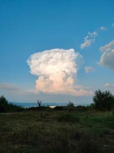 Orizzonte - Castiglione del Lago