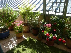 Charmante chambre chez lhabitant pour 2 personnes- parking couvert