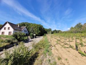 Appartements Les Gites du Holzweg : photos des chambres