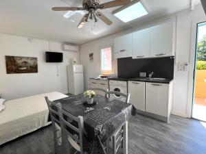 Appartements MORIANI PLAGE Studio grande terrasse proche mer B4 : photos des chambres