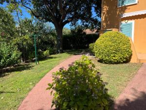 Appartements MORIANI PLAGE Studio grande terrasse proche mer B4 : photos des chambres