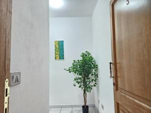 Bentos - Appartamenti in centro a Orosei img62