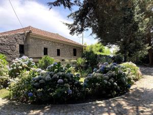 Quinta da Faísca Guesthouse