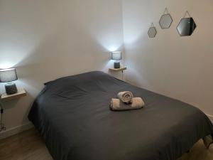Appartements T2 Cosy Centre ville Clim & Wifi : photos des chambres