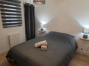 Appartements T2 Cosy Centre ville Clim & Wifi : photos des chambres