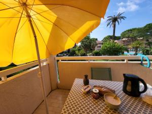 Appartements Charmant appartement vue piscine parc tropical Residence vacances Golfe-Juan : photos des chambres