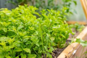 Charming Private Guest House