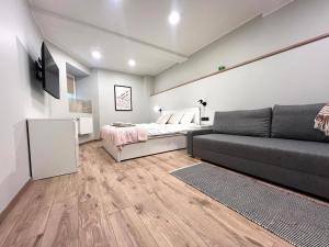 Krisjana Valdemara Apartment - Riga City Center Newly Renovated