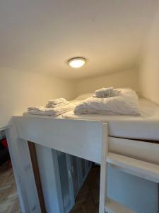 Wiener Altbau-Revival