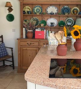 Castle Reach Newport, Pembrokeshire