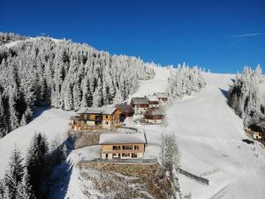 MoselebauerAlm - 4hvězdičkové hotely ve městě Klippitztorl