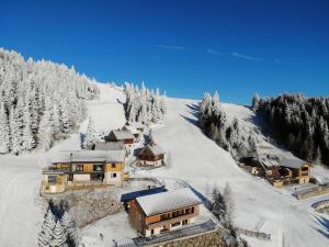 Superior Chalet room in Almhütten Moselebauer