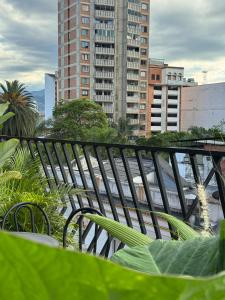 Hostel43