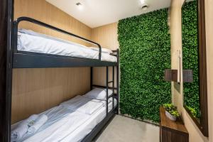 Heart of the city Hostel