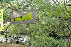 Apartamento playa del Rodadero parqueadero gratis