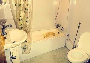 Floating Heritage Persian Gulf Houseboats