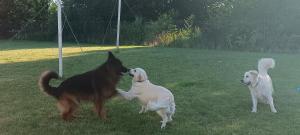 R&R Mielno Domki Letniskowe