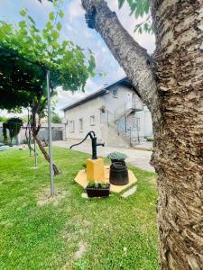 Surčin Grape Vine Apartments