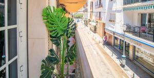 Exclusive Studio Boutique - High-End Boliches Fuengirola