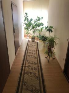 Окремий номер