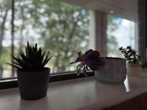 Modern 2 BR Apartment in London East End