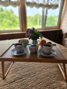 Gluosnių vila - Adutiškio pirtis