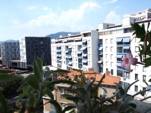 Apartment Viola
