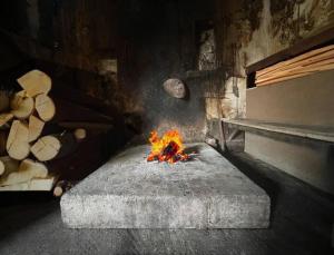 Vintage house Brijesta