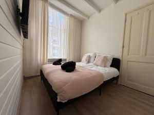 Theislandlife 10p Centrum Texel