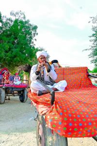 Jaisalmer Hostel Camel Castle & Safari