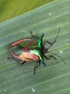 Residencia abuelita Carmen