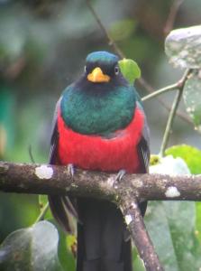 Residencia abuelita Carmen