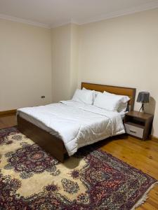 Apartment in Zamalek