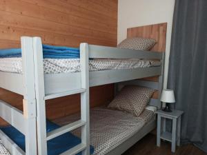 Appartements Cozy chalet des Moussaillons N99 - proche lac : photos des chambres