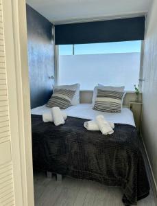 Appartement het Muiltje Free Parking