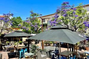 Maisons de vacances CASA-du pecheur : photos des chambres